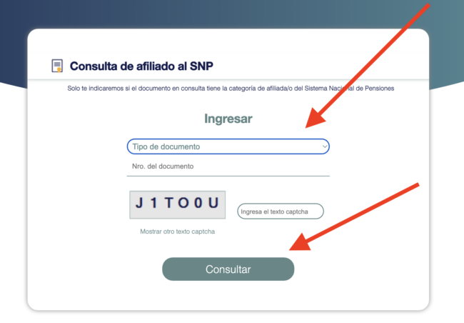 estoy en afp o en onp